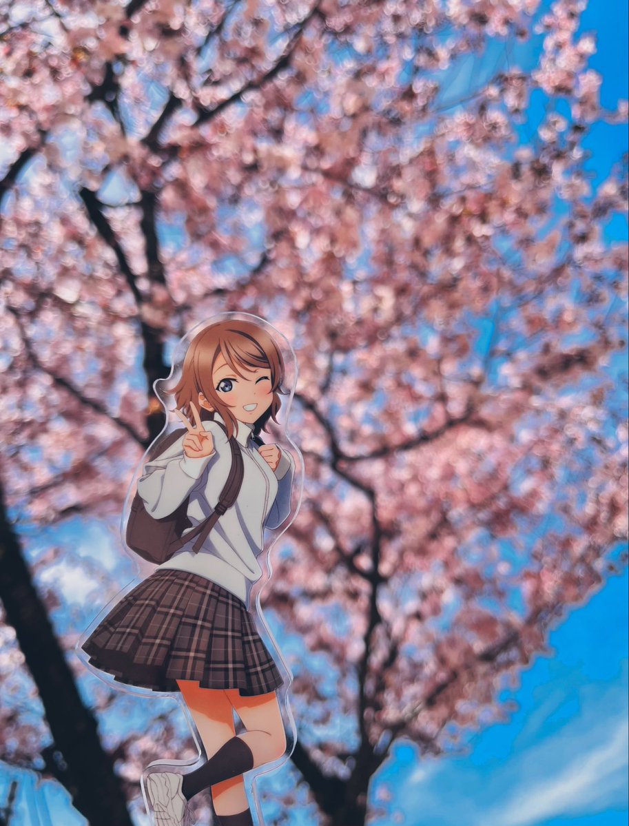 しももめ⛵️ tweet media