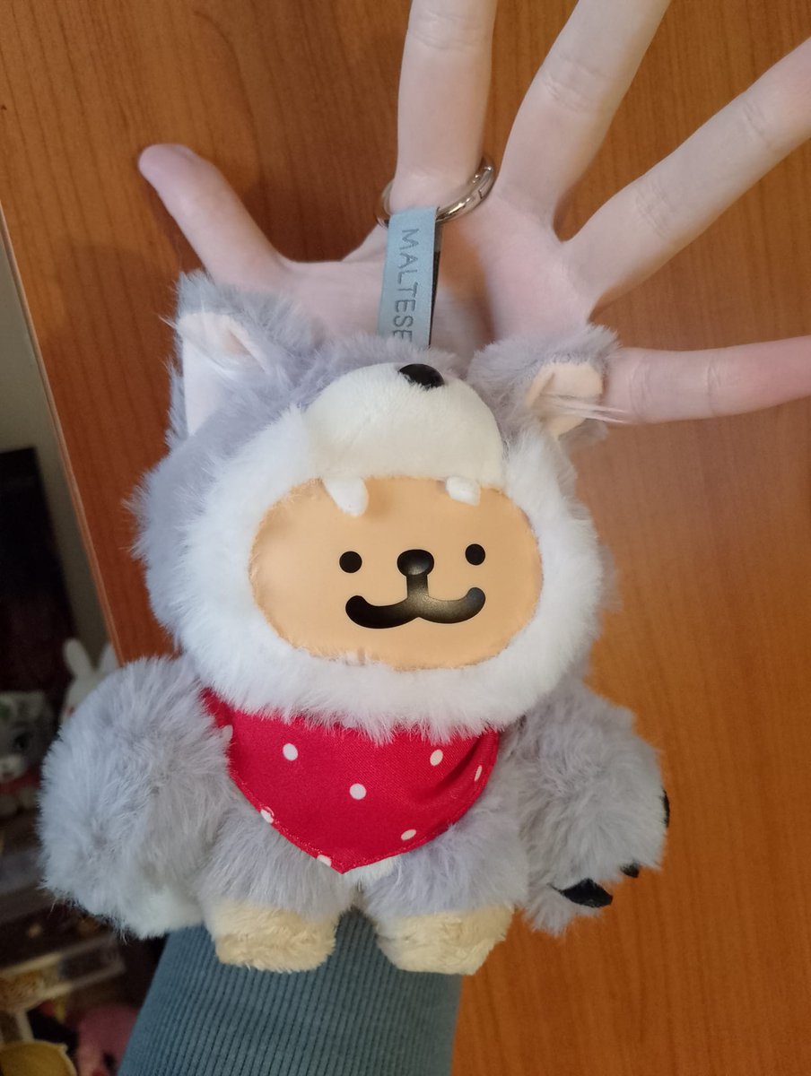 KappaFerruccio's tweet image. E' ARRIVATOOOOOOO 😭💛
#Maltese