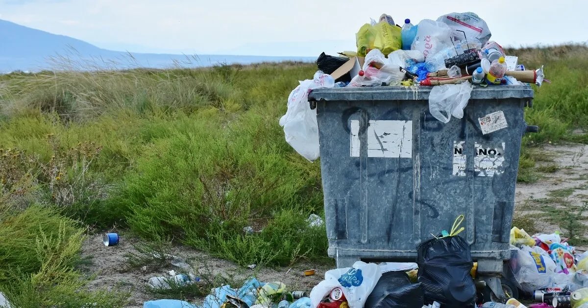 LoritemRecycle's tweet photo. Improper waste disposal doesn’t just look bad it creates serious environmental problems over time

Tip: Keep a separate bag or bin at home for plastics

It makes recycling easier and more consistent https://t.co/dEwMhGqody