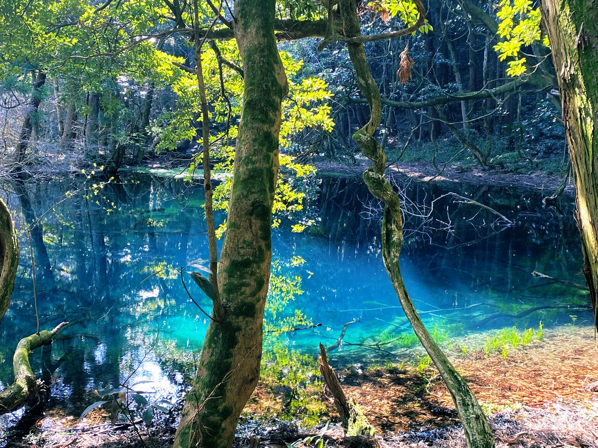 嘘みたいに透明な水の世界が存在していた