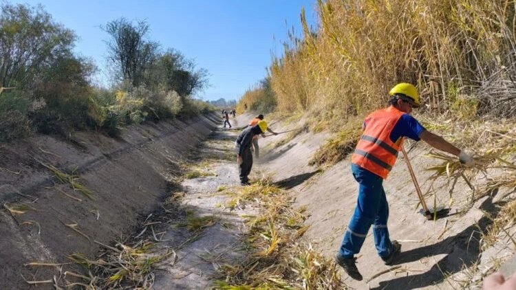 El Constructor tweet media