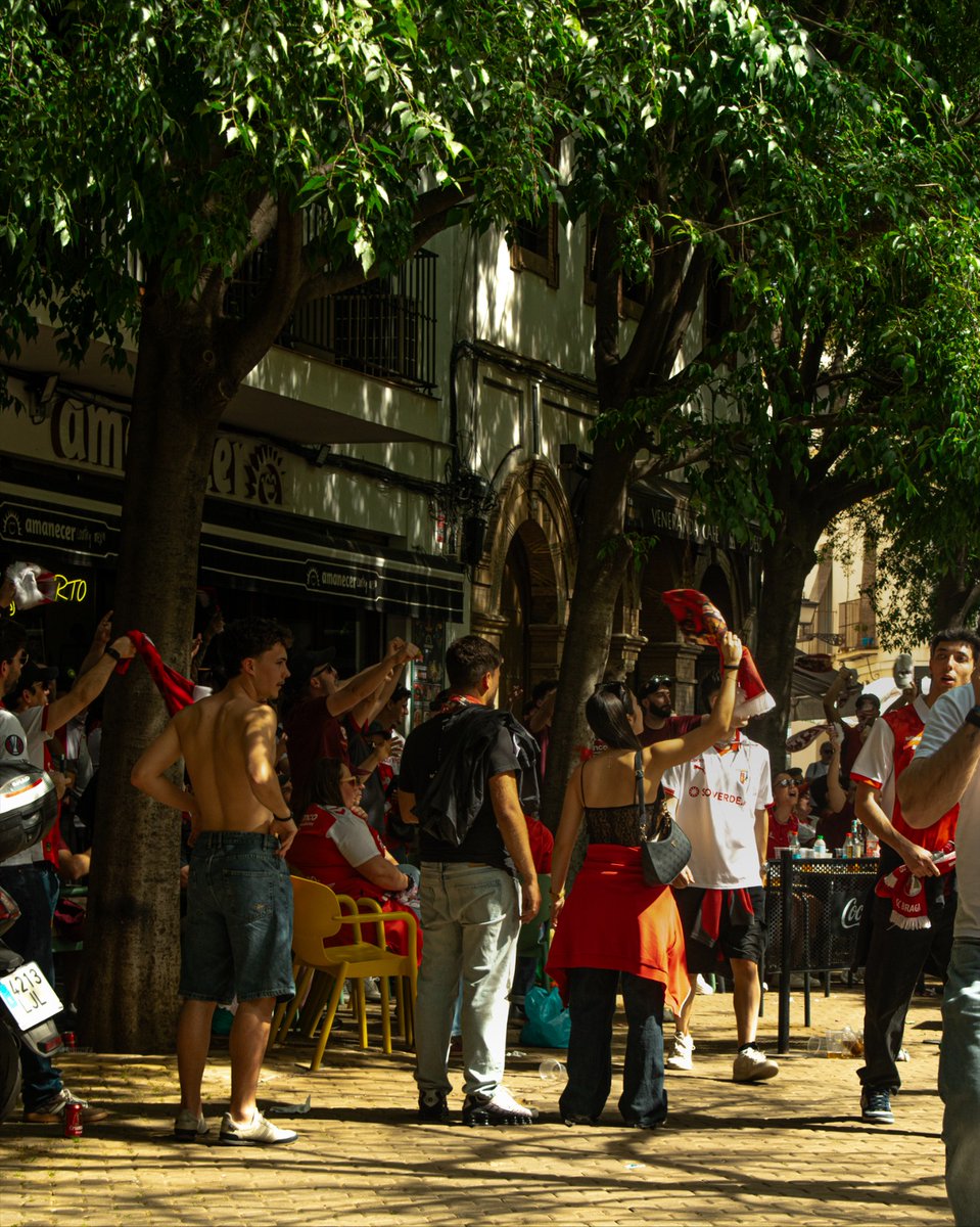 Braga Scenes 🔴⚪ 
<a href="/SCBragaOficial/">SC Braga</a>  até ao fim ⚔️