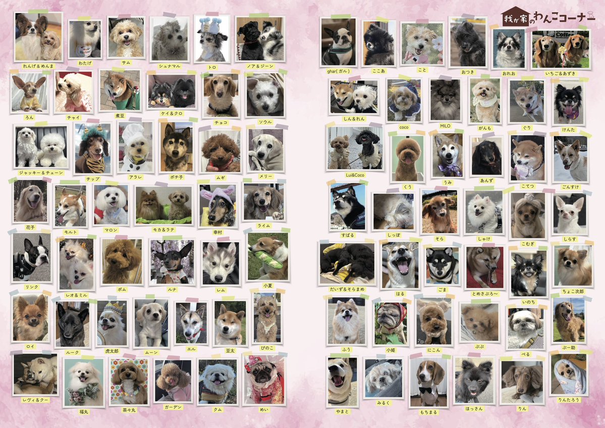 月刊わんこ編集部 tweet media