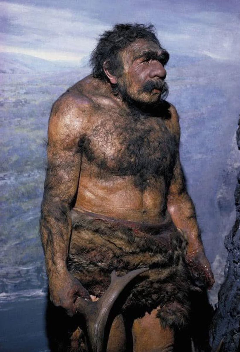 Jay Anderson tweet media