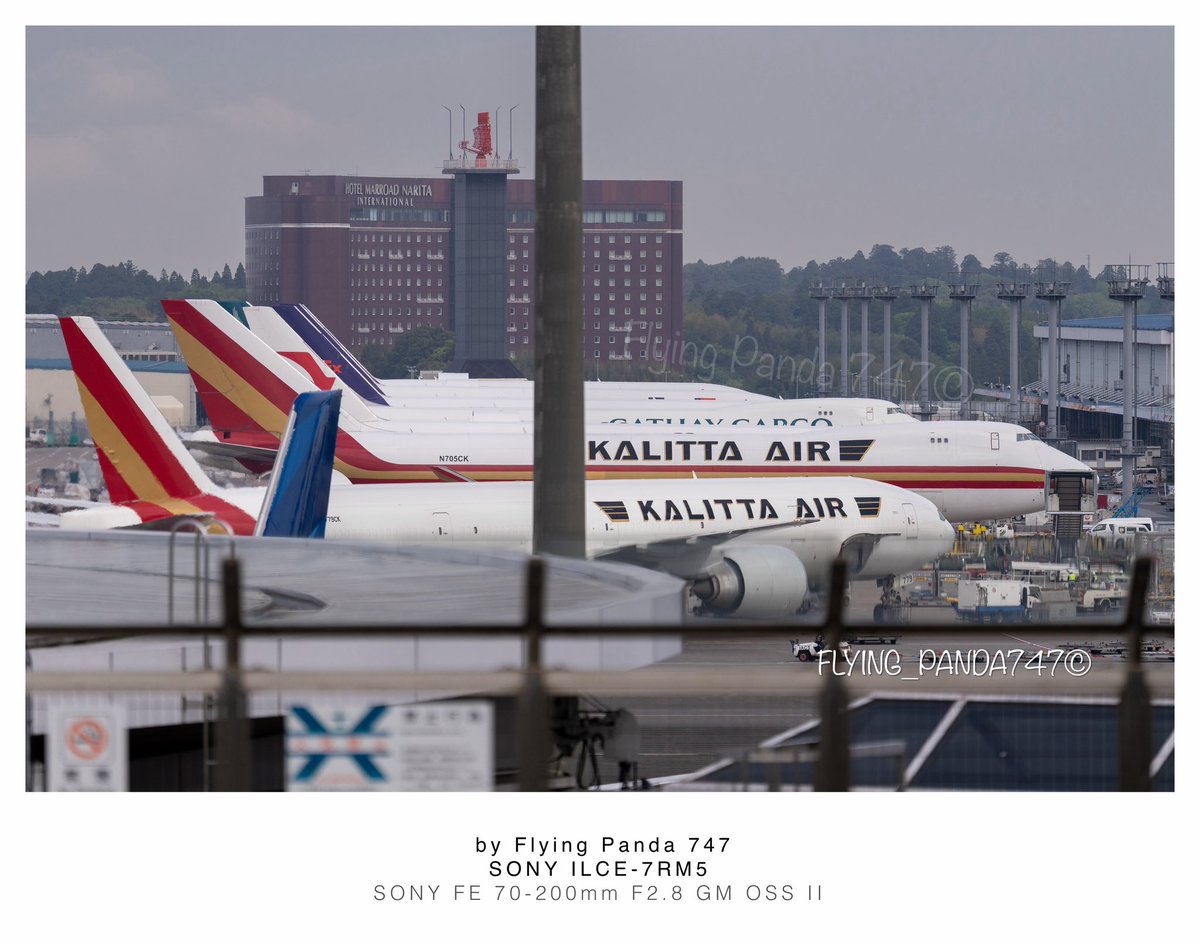 Flying_Panda747's tweet image. カリッタ•エアのB747-400とビッグツイン
Kalitta Air
Boeing 747-4B5F, N705CK
Boeing 777-36N ER SF, N779CK
@ NRT, APRIL 2026
#avgeek #kalittaair #boeing #SonyAlpha #飛行機が有る景色