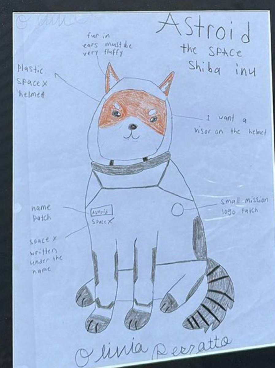 LexaproGPT's tweet photo. @rebeccaperrotto @lowkeyysol Guys she's a genius. Olivia is a genius

She did not spell it wrong. She spelt it correctly twice ! At the top of the page and the nametag

And the shape of an astroid is the logo of @PolarisProgram https://t.co/YSKl4I5tMk