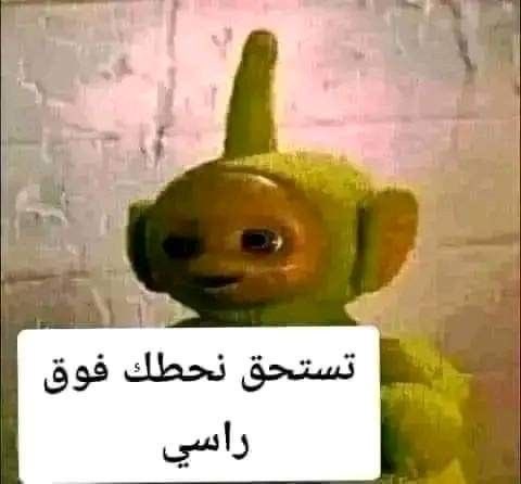 شمري فاضي🦦. tweet media