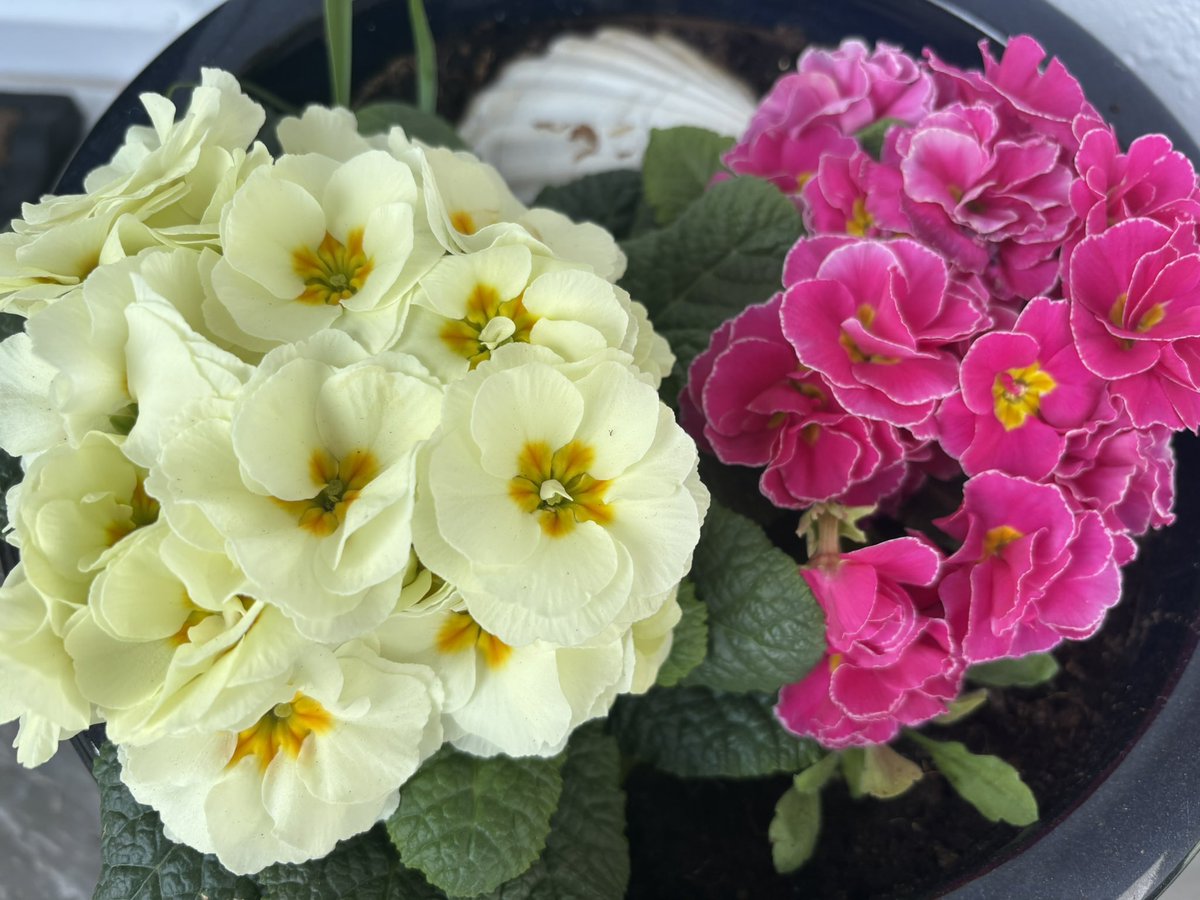 theurbanrambler tweet media