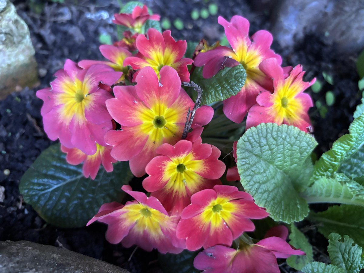 theurbanrambler tweet media