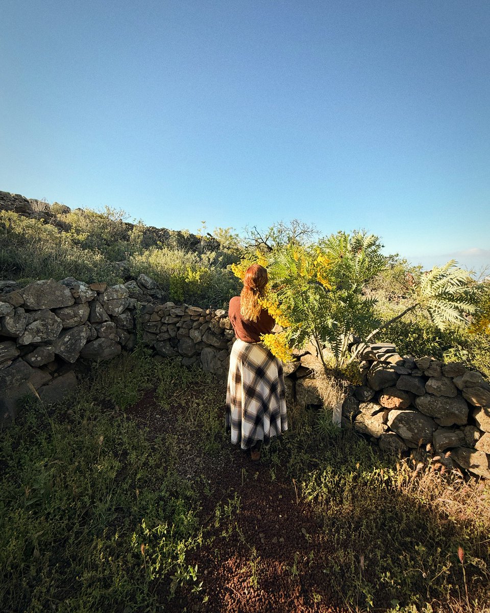 Auxi Rodríguez tweet media