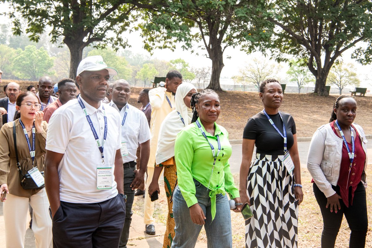 CGIAR's tweet photo. @ICRISAT is strengthening South–South cooperation through global training programs w/ #ISSCA and @MEAIndia’s ITEC initiative.
🌱 129 participants
🌍 25 countries
🧠 Focus areas: regenerative agriculture, digital tools, crop improvement & seed systems
https://t.co/bWCW8bblKo https://t.co/Z4Ex9ZAeQX