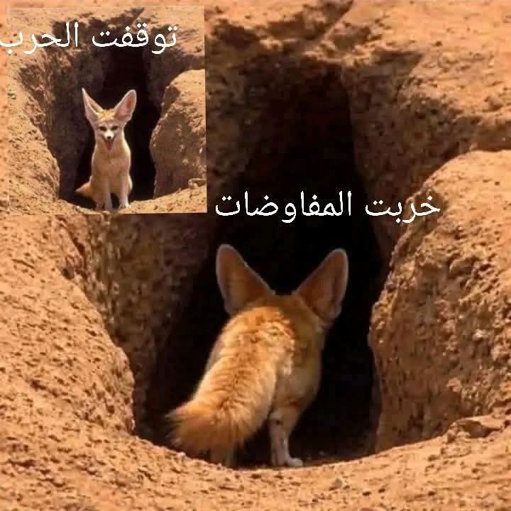 رحيل القوافي tweet media