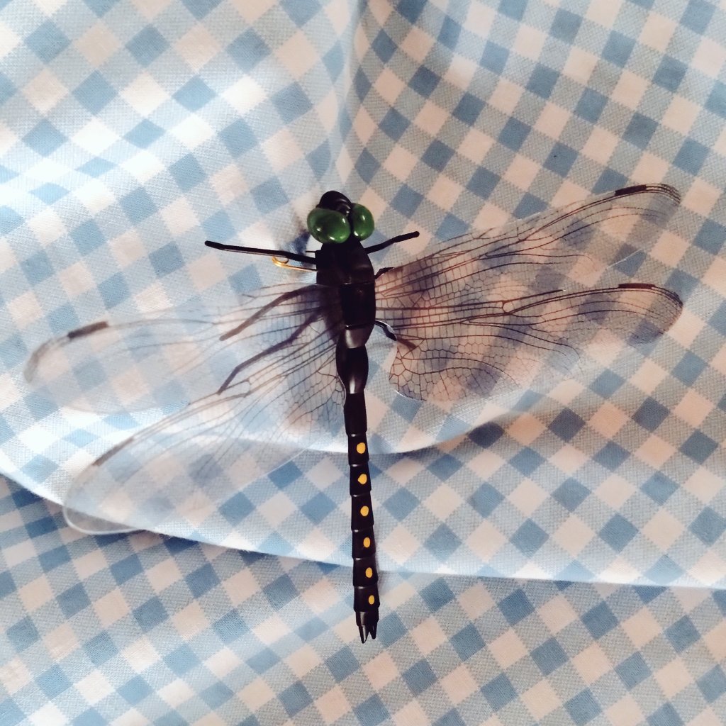 まぁこ tweet media