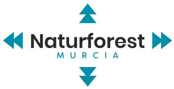 Ingeniería Forestal tweet media