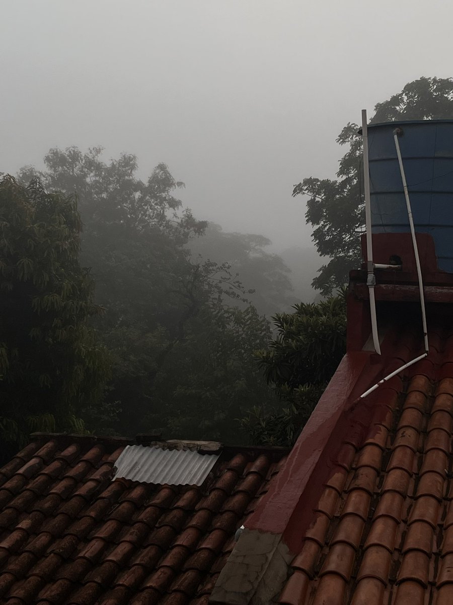 lu (liam) tweet media