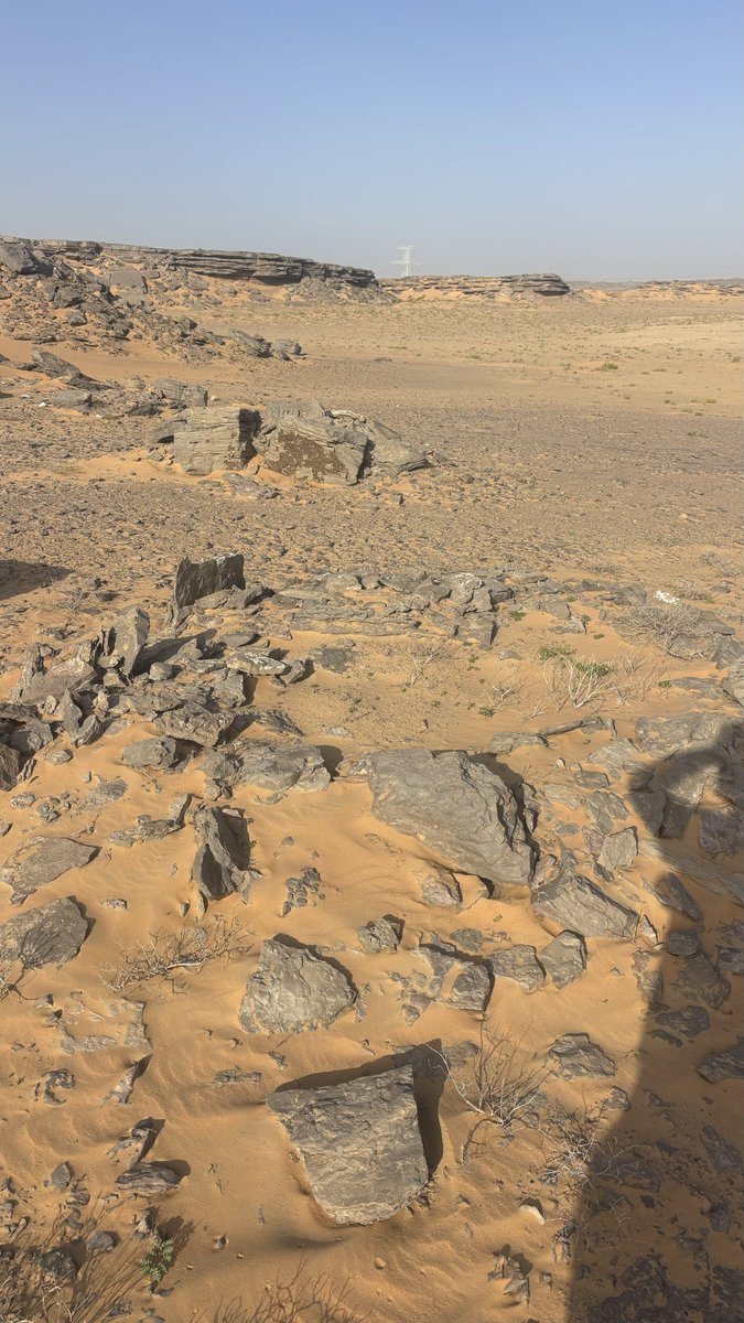 خميس العدوي tweet media