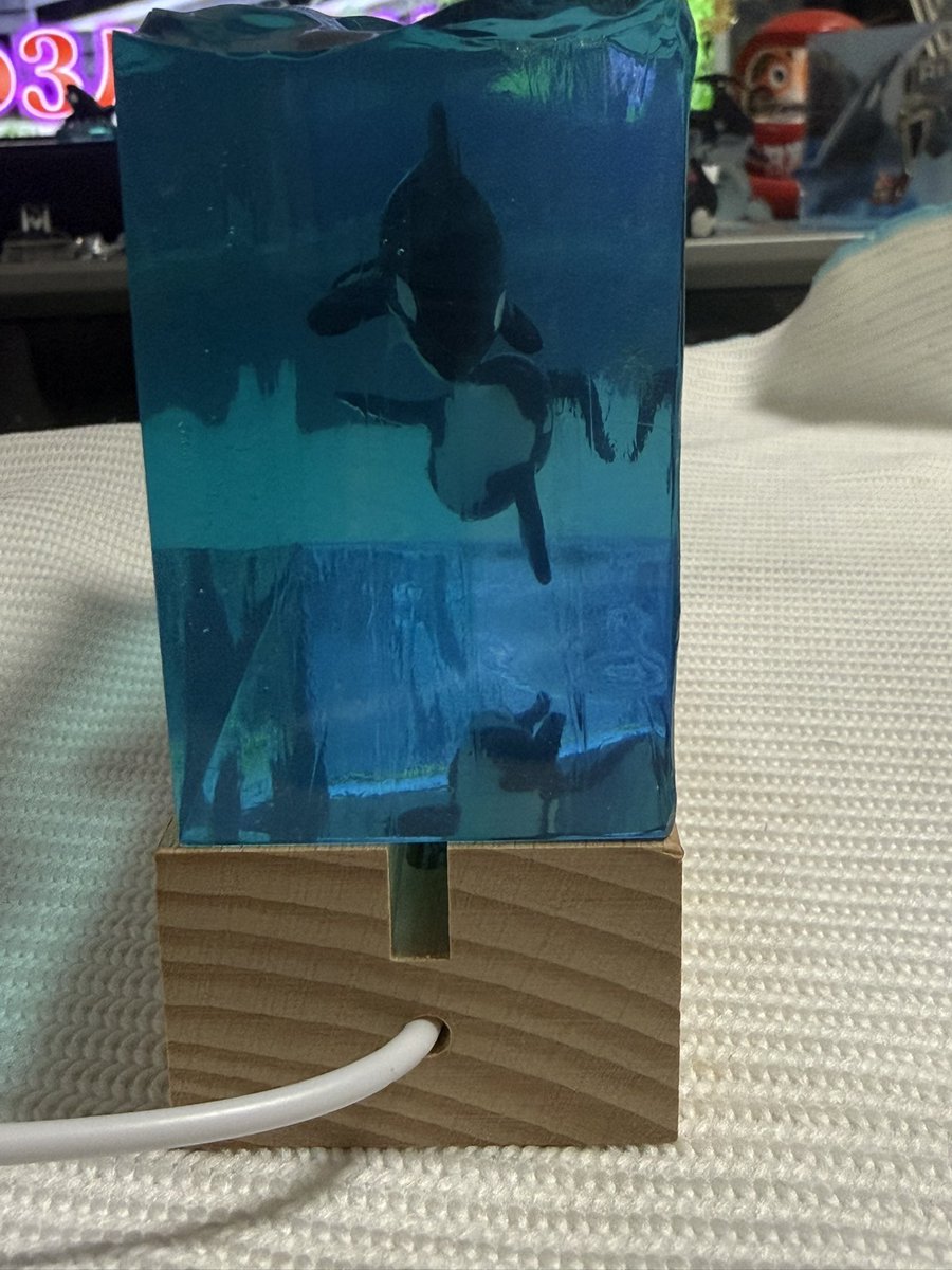 なお　なお tweet media