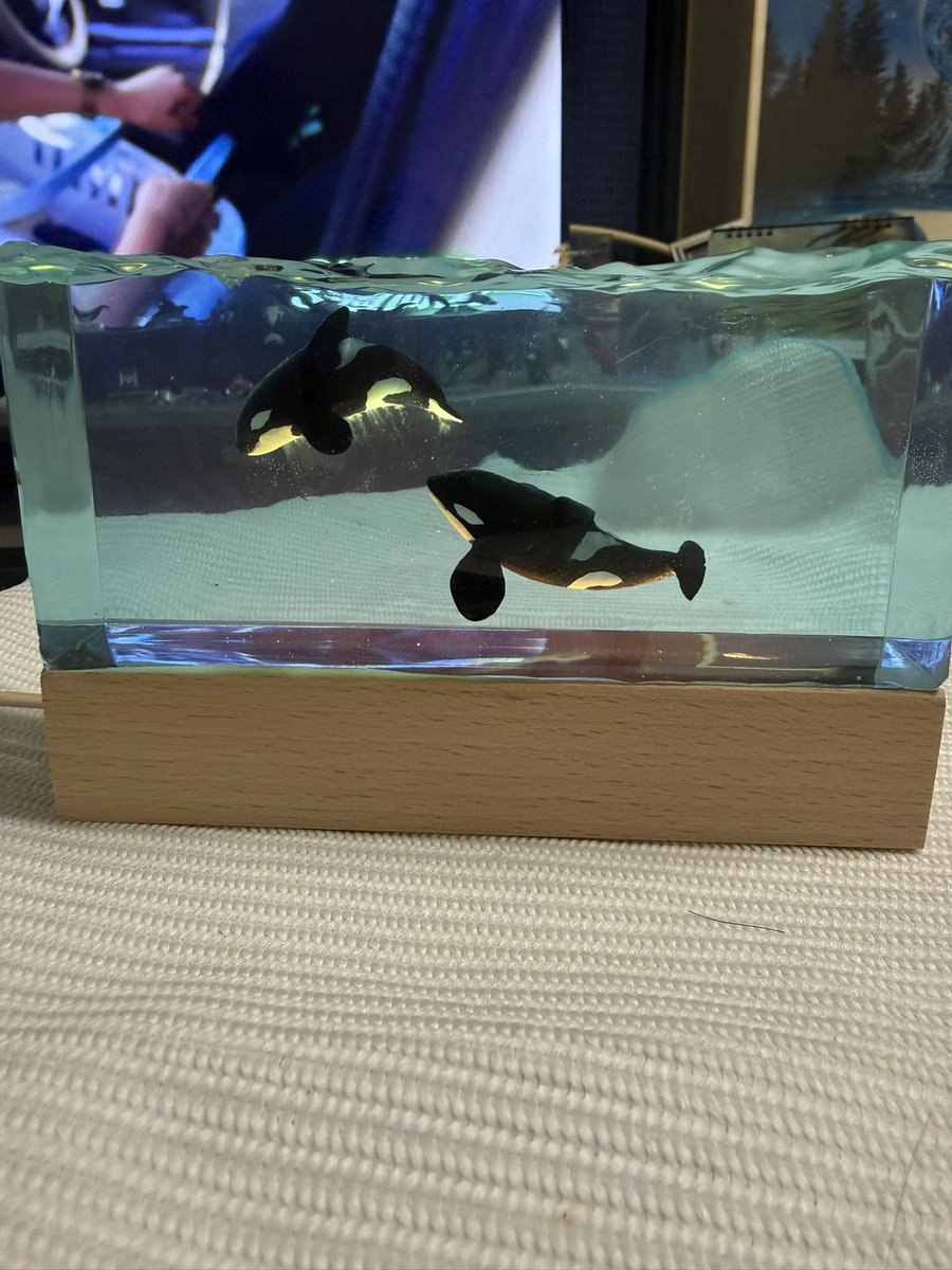 なお　なお tweet media