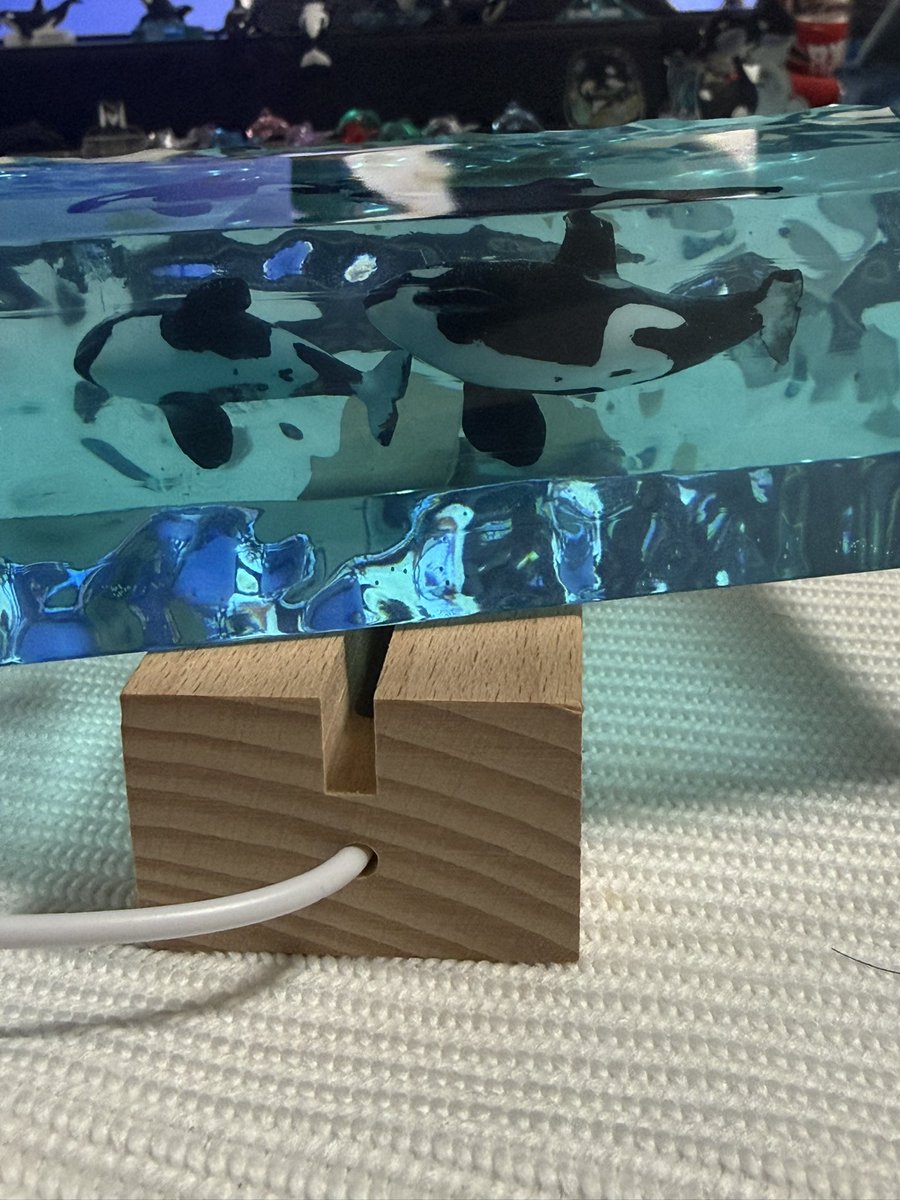 なお　なお tweet media