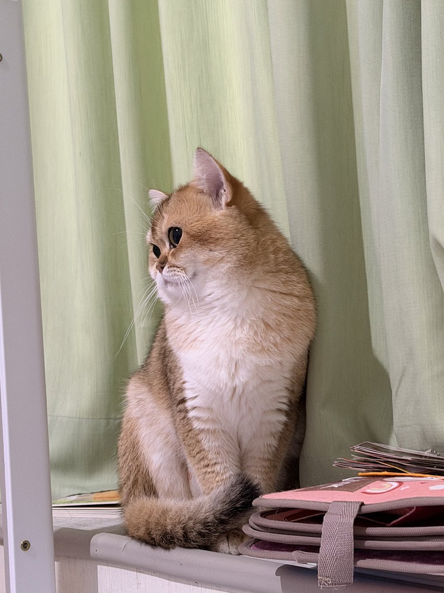 Nastar & Kara tweet media