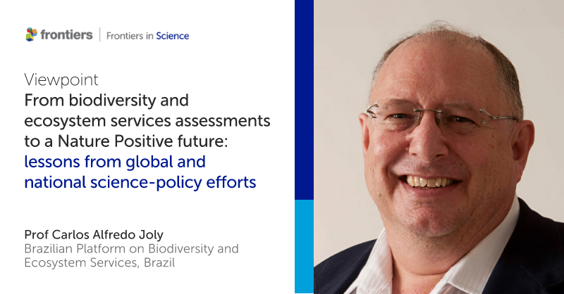 FrontScience's tweet photo. Nature Positive builds on decades of global assessments, shifting beyond restoration to sustain Earth’s habitability.

Carlos Alfredo Joly of @BPBES_oficial and @unicampoficial outlines how this supports long-term Earth system stability ➡️ https://t.co/XMZLe0z6Vk https://t.co/YcULWNQwe8