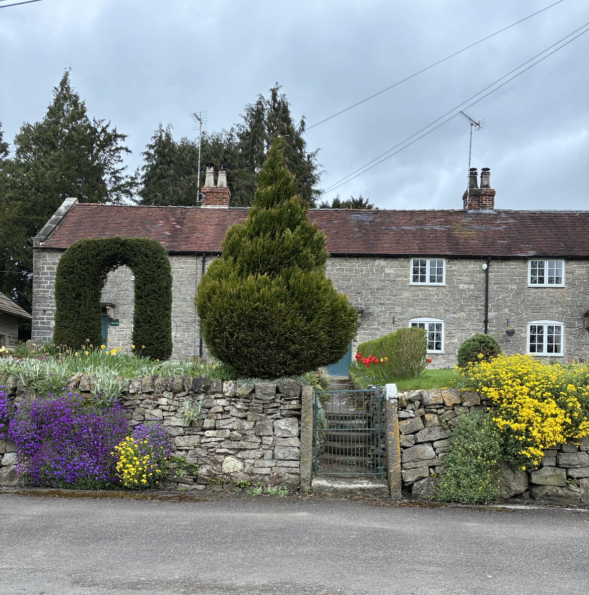 Zara Handley tweet media