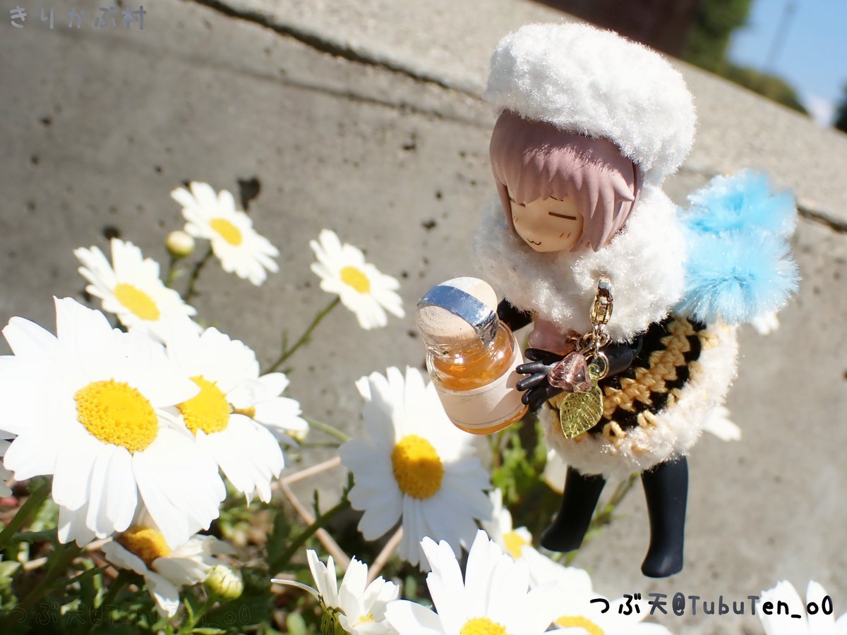 つぶ天 (きりかぶ村通販部) tweet media