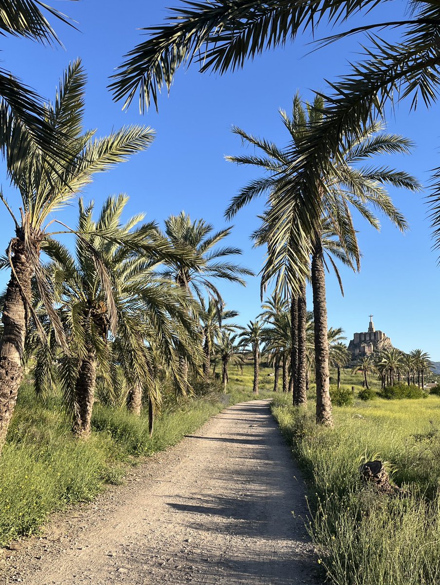 enunlugardelah1's tweet photo. 🍋 Esta carrera lleva camino de convertirse en un referente, no sólo en la Región de #Murcia. Al tiempo.

Pero es que claro, con estos mimbres triunfar es casi inevitable.

         🏃   🏃‍♂️   🏃   🏃   🏃‍♀️   🏃‍♂️   🏃 https://t.co/aPffe9SmDJ