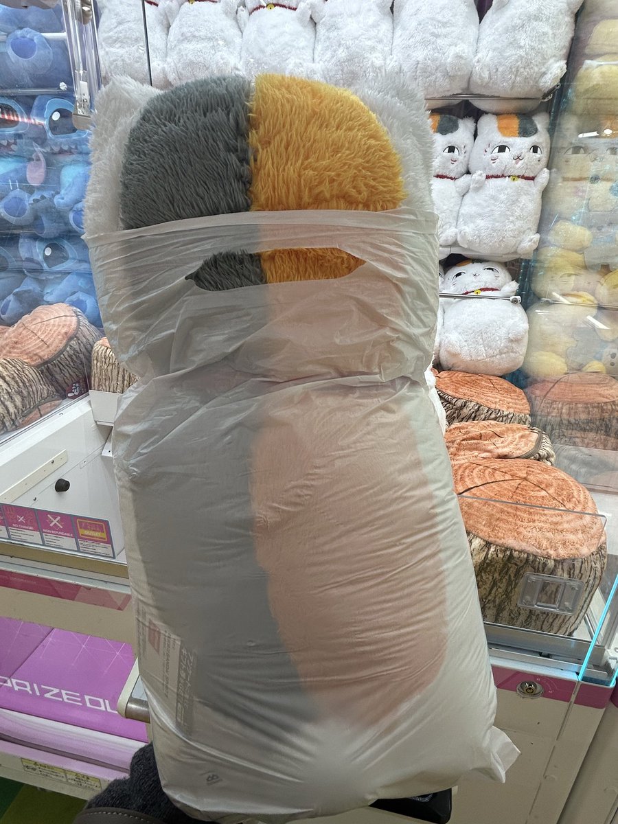 みかん🍊 tweet media