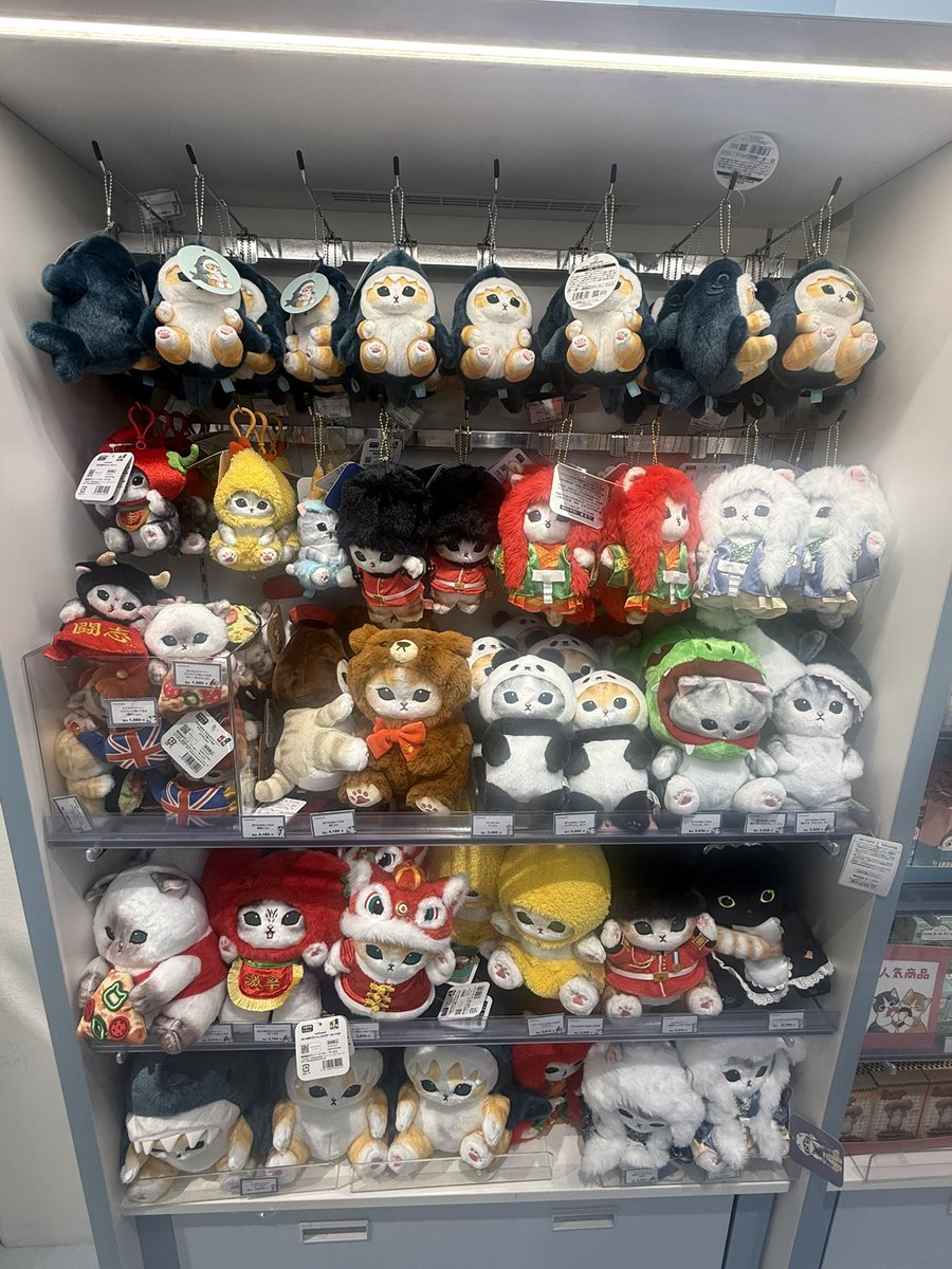 ศรีเอง wangsri tweet media