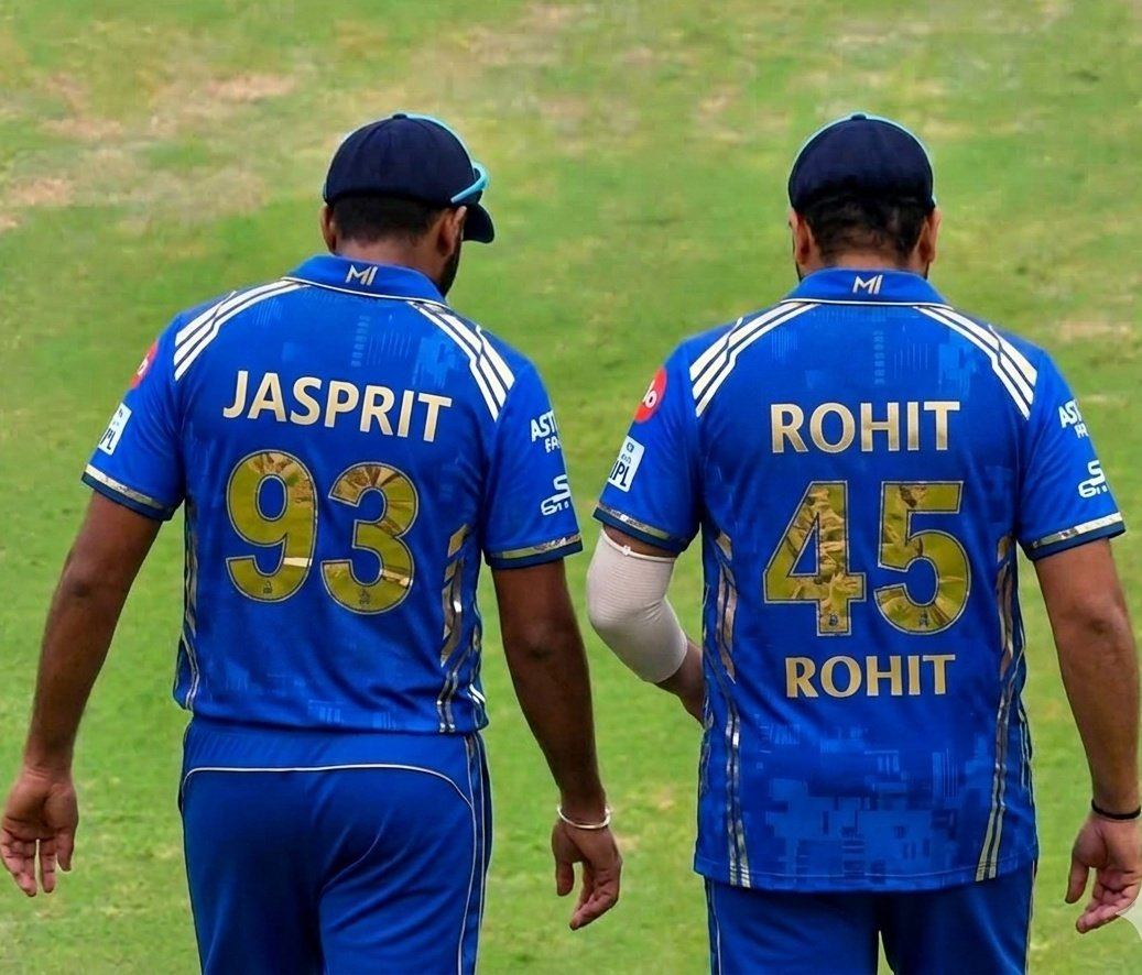 𝗬𝗼𝗿𝗸𝗲𝗿 tweet media