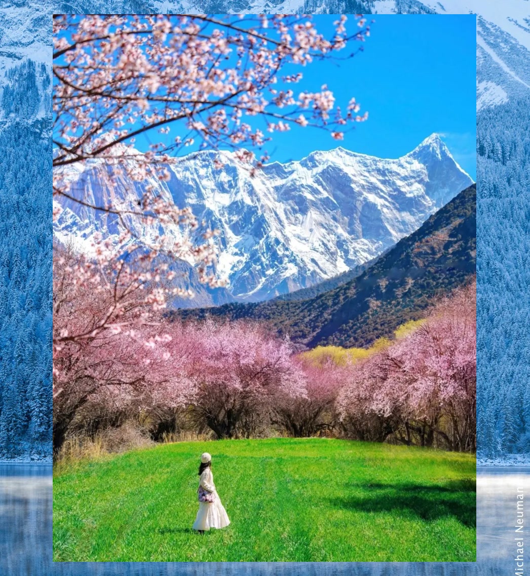 Joseph Cleveland tweet media