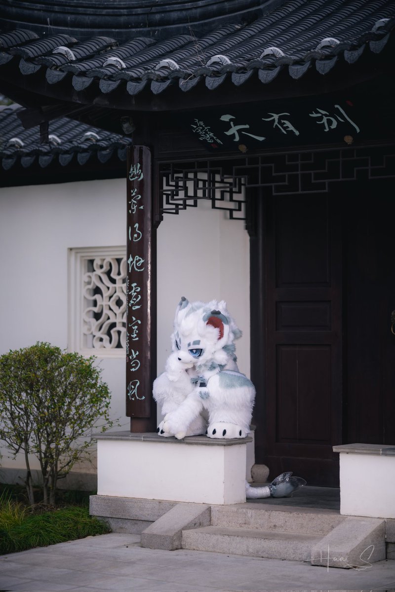 苍又又又 AOI tweet media