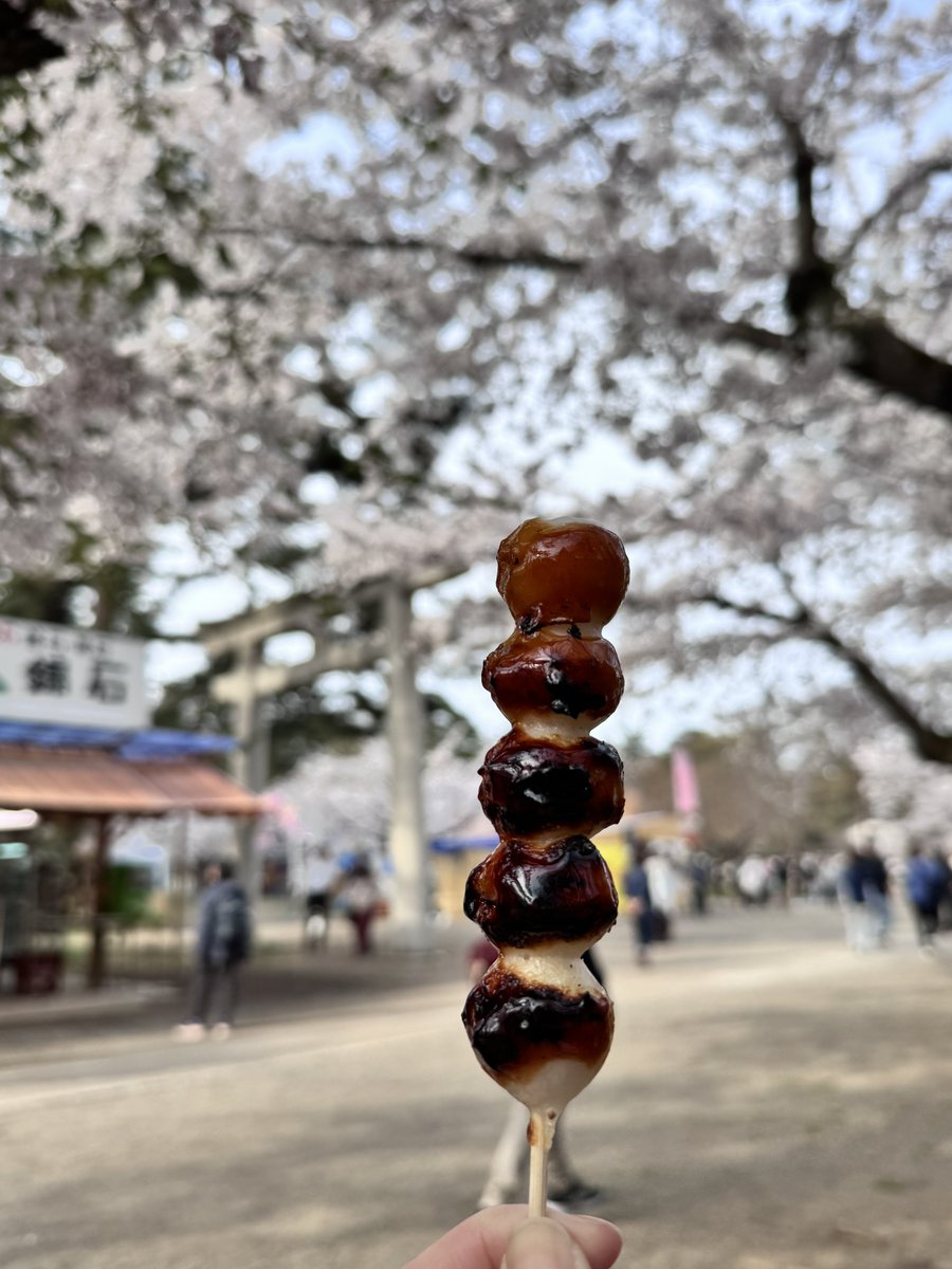whitenoisetk's tweet image. 13632歩しか歩いていないのに人混みがすごすぎて疲れた……🫠
お団子美味しかったです🍡

#弘前公園 #桜まつり #iphone15pro