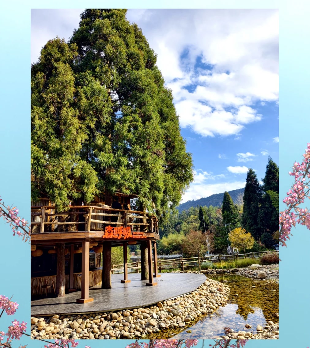 Timothy Fisher tweet media