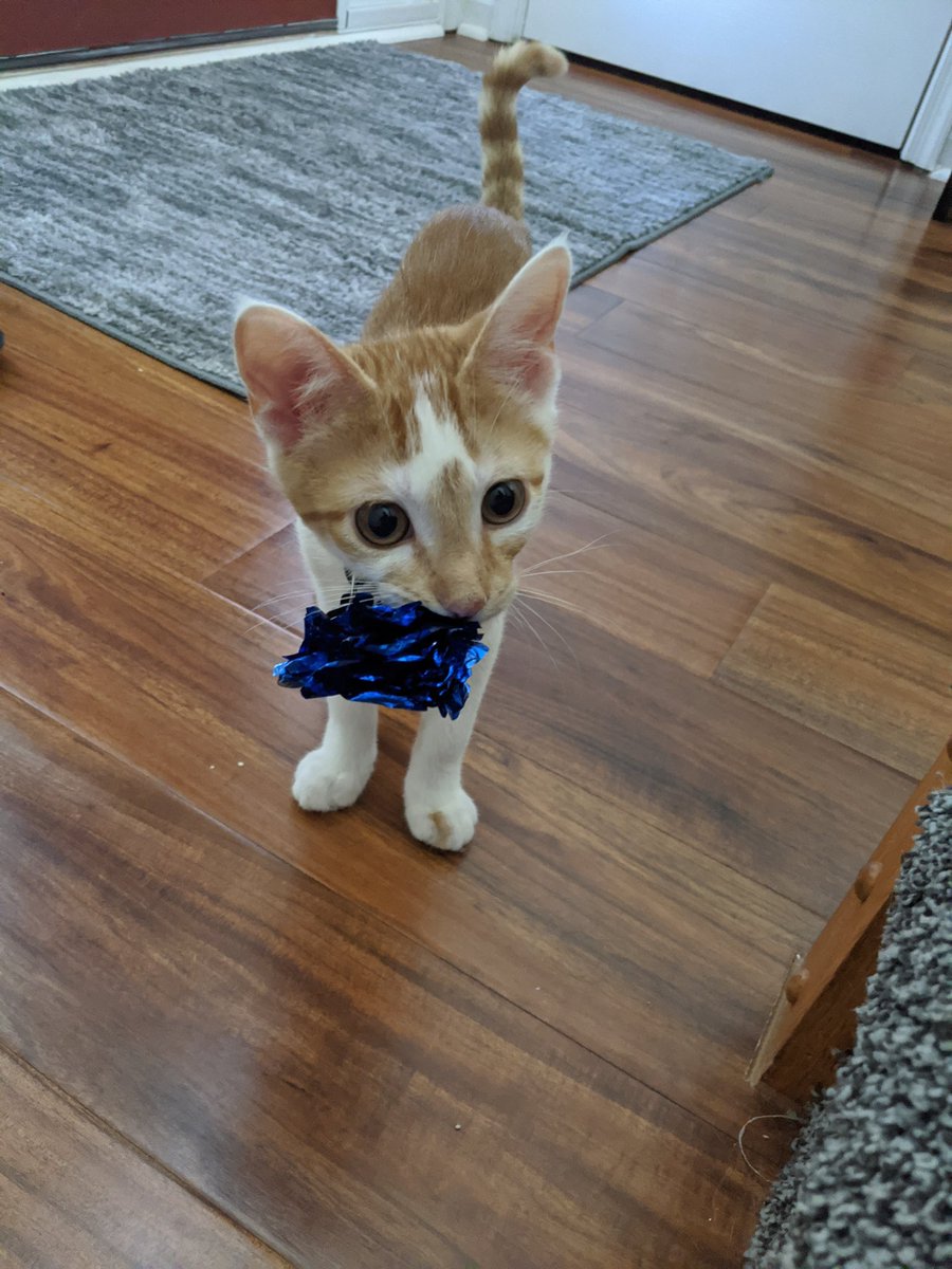 Benny tweet media