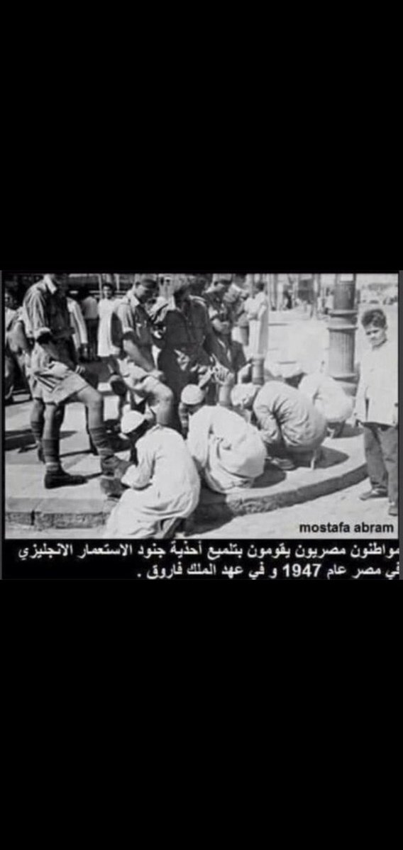 كـش ملك tweet media