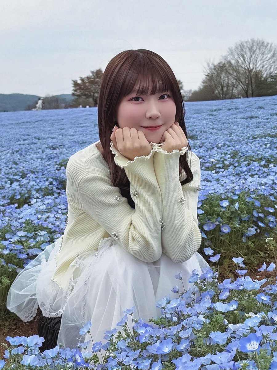 蓮音りん［Axelight］ tweet media