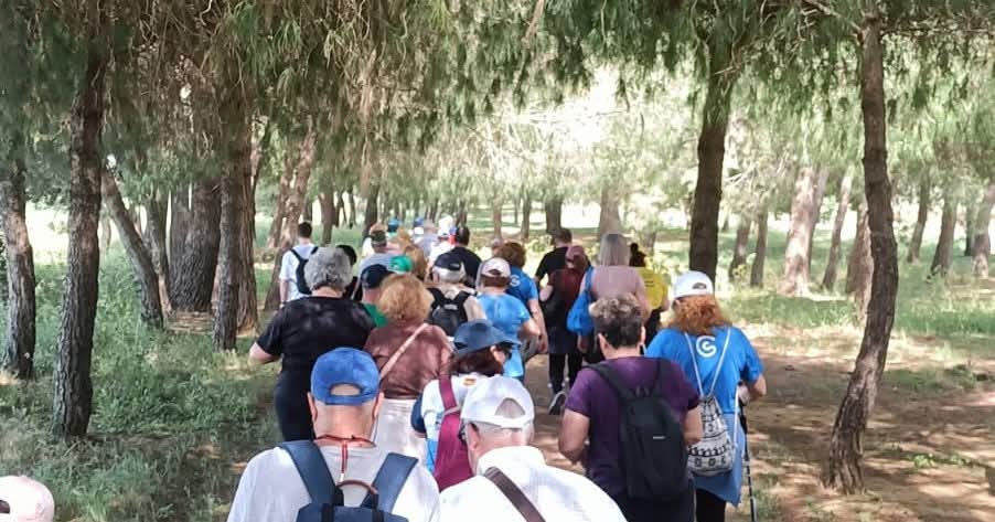 Excmo. Ayuntamiento de Casariche (Sevilla) tweet media