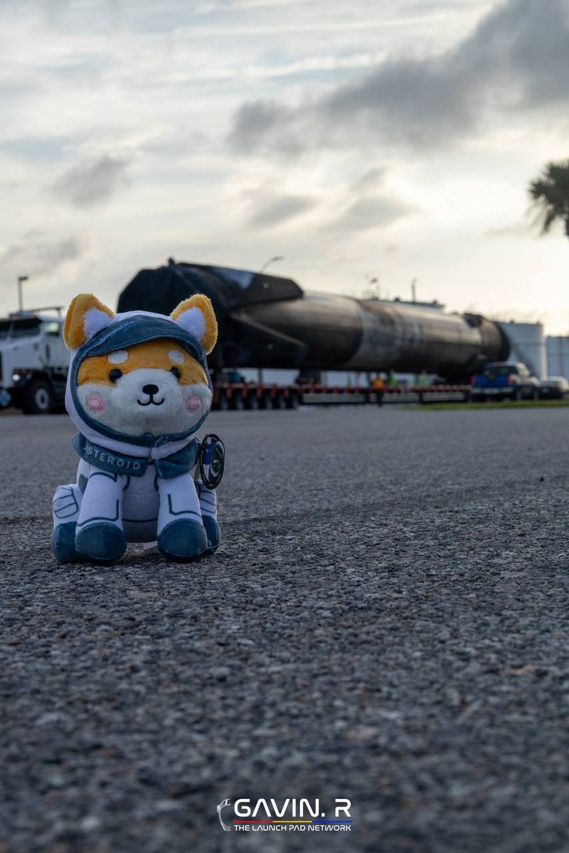 ASTEROID SHIBA tweet media