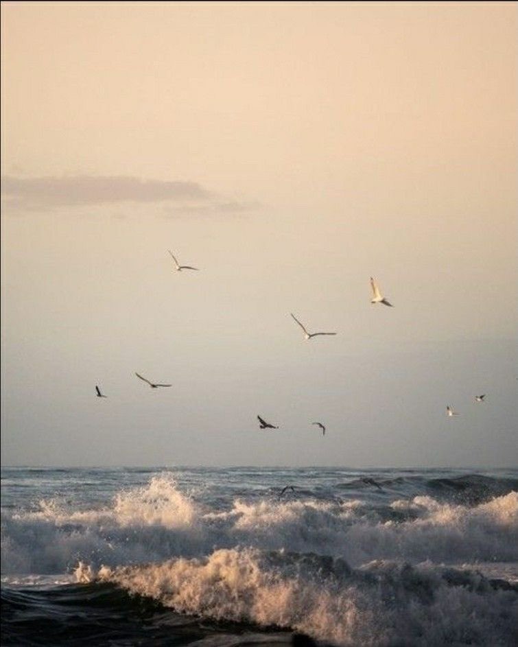 EdenOnEarth tweet media