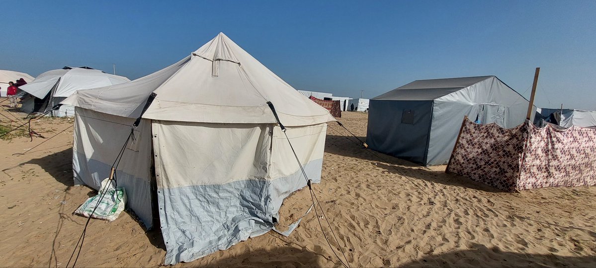 Alaa Ahmed 🇵🇸 علاء أحمد tweet media