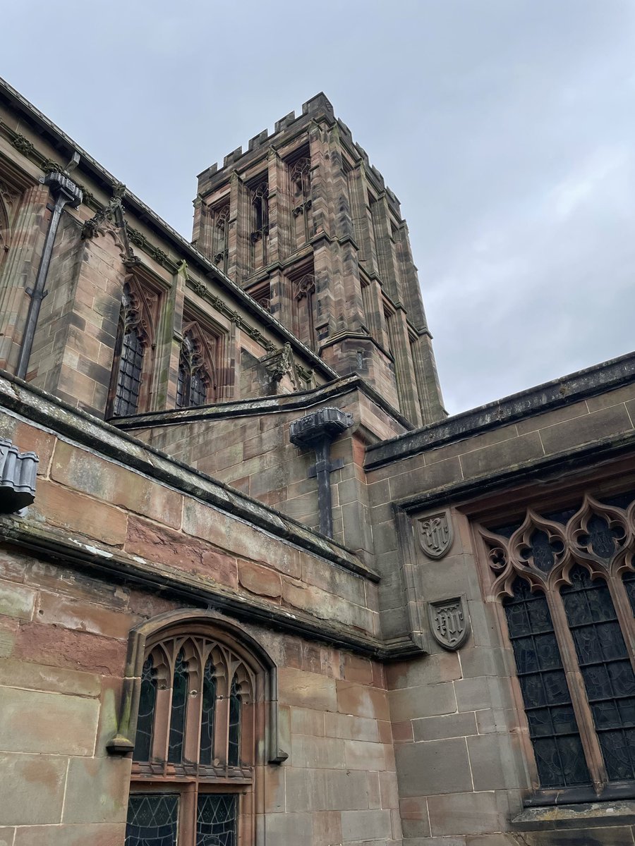 Grizzlegutweed the Bear tweet media