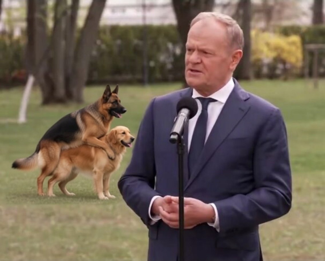 APrawdaWasWyzwoli tweet media