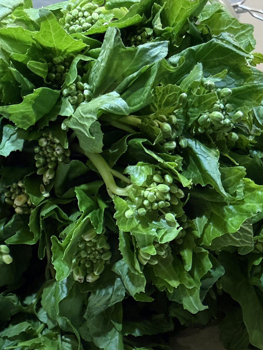 畠山　和也@フキアージュのオーナー tweet media