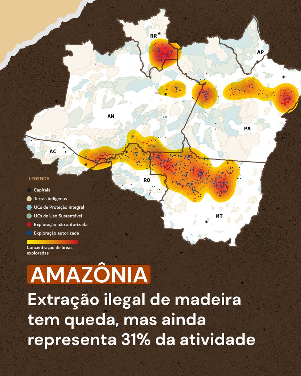 Imazon tweet media