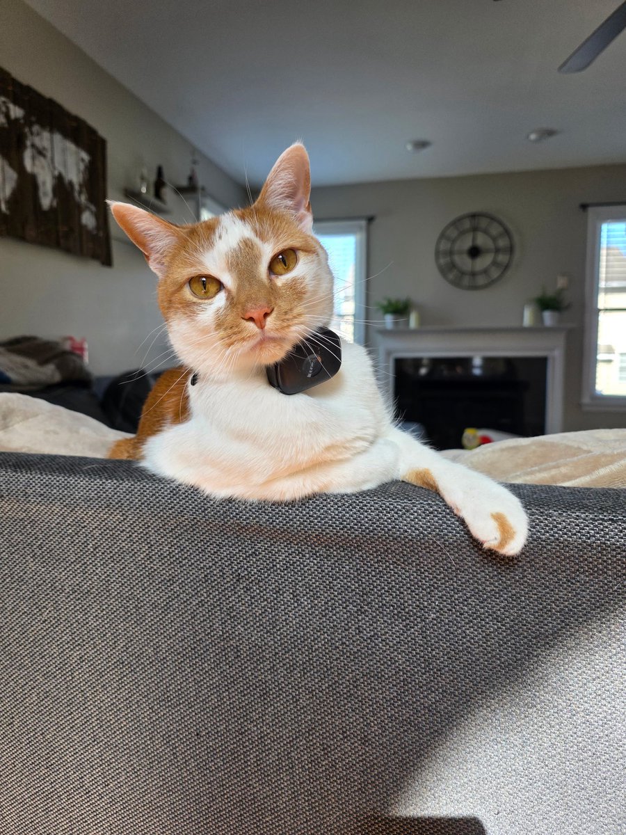 Benny tweet media