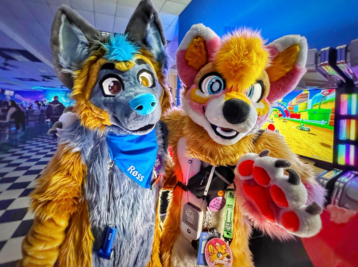 Røss Fox Husky🔜AO tweet media