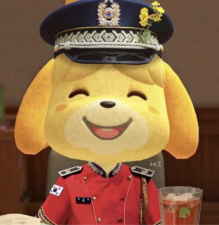 체크 #SUGAR tweet media