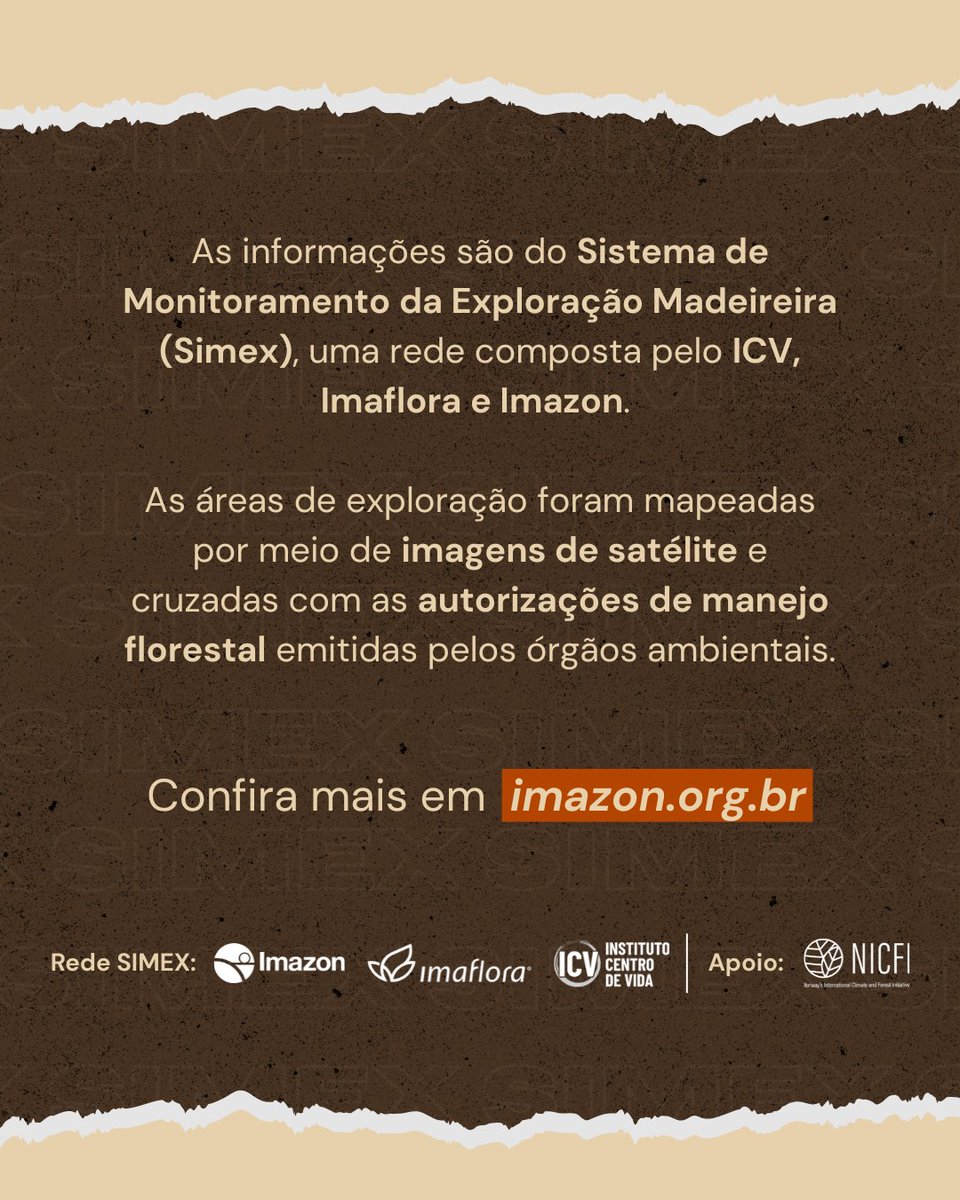 Imazon tweet media